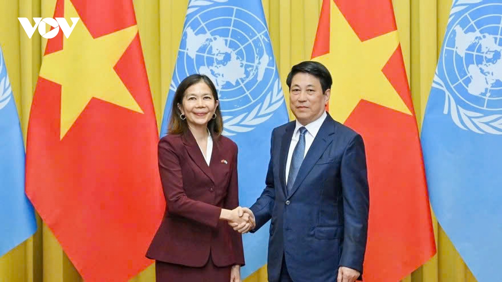 Vietnam pledges close cooperation with United Nations to realise SDGs